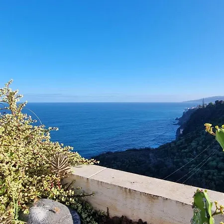 Tropical Leaves Tenerife Apartment Los Realejos